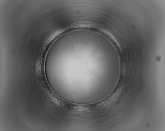 X0000098050874200803281452