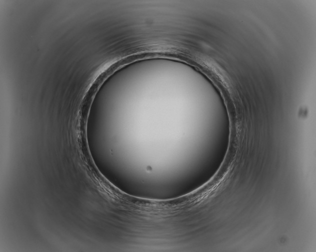 X0000098050875200803281452