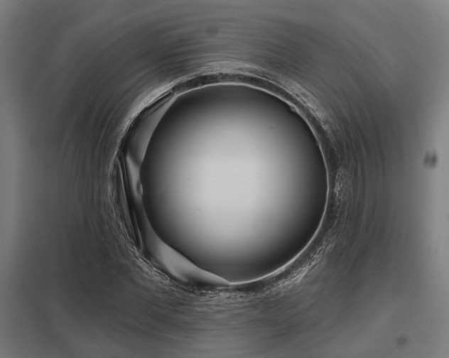 X0000098050877200803281452