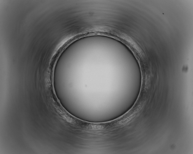 X0000098050878200803281452