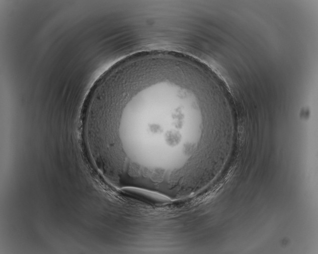 X0000098050879200803281452