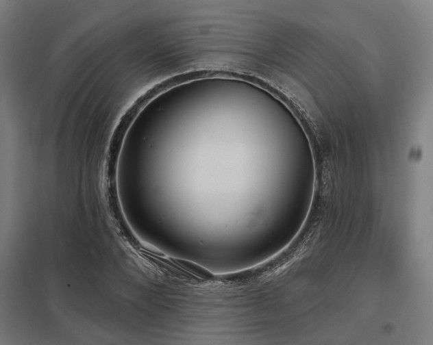 X0000098050880200803281452