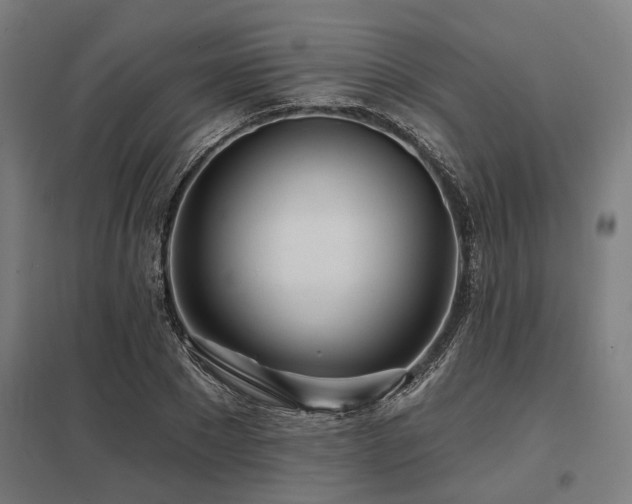 X0000098050881200803281452
