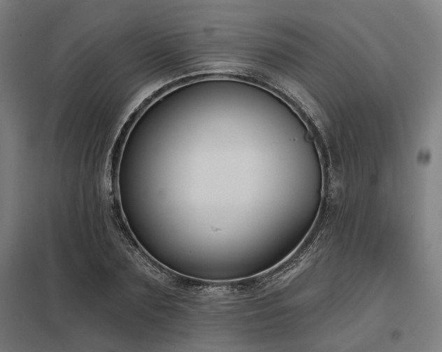 X0000098050883200803281452