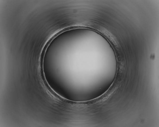 X0000098050884200803281452