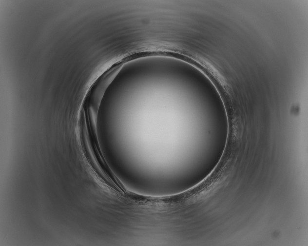 X0000098050885200803281452