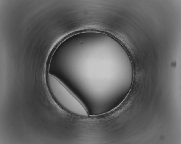 X0000098050888200803281452