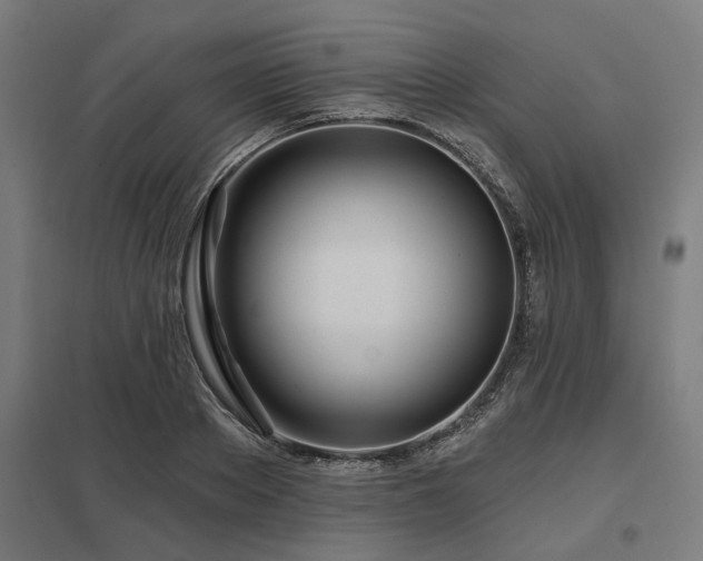 X0000098050889200803281452