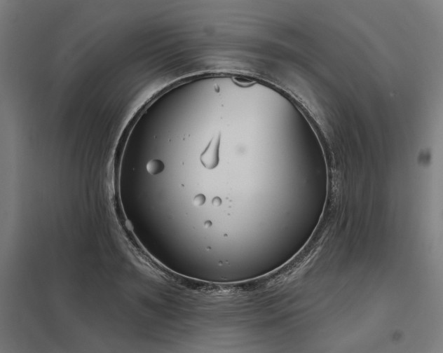 X0000098050891200803281452