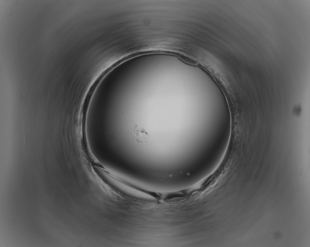 X0000098050892200803281452