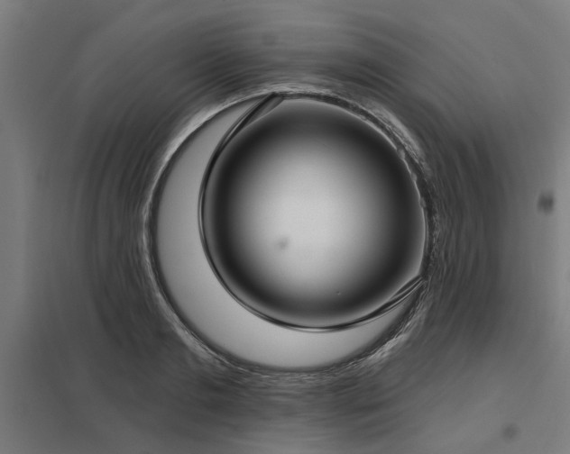 X0000098050893200803281452