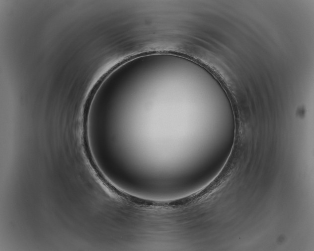 X0000098050894200803281452