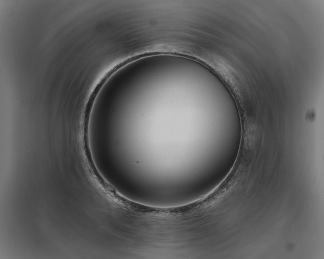 X0000098050896200803281452