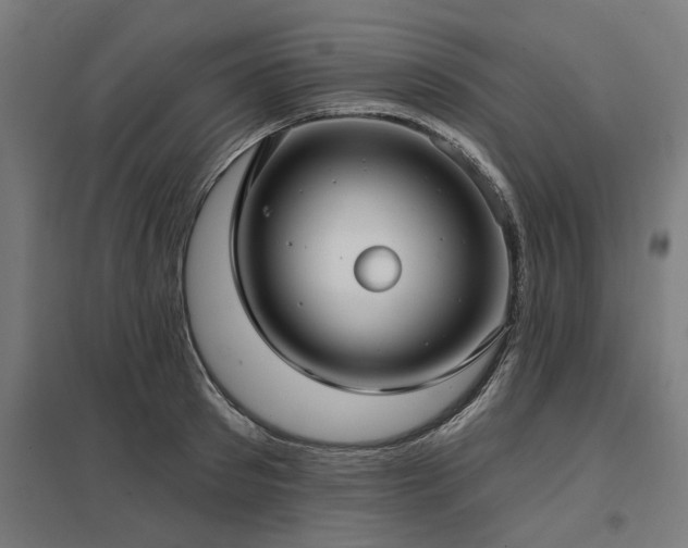 X0000098050897200803281452