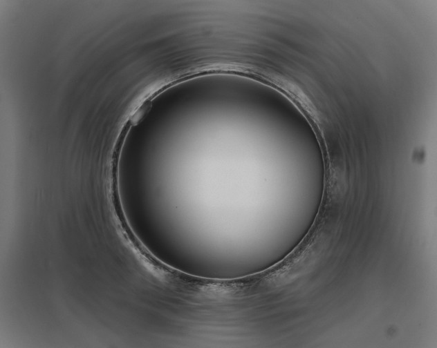 X0000098050898200803281452