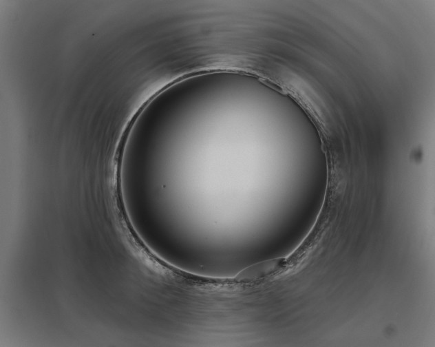 X0000098050900200803281452