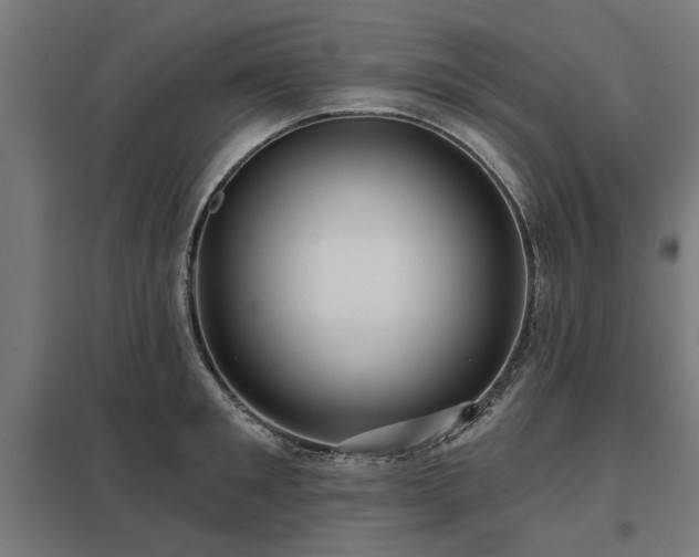 X0000098050901200803281452