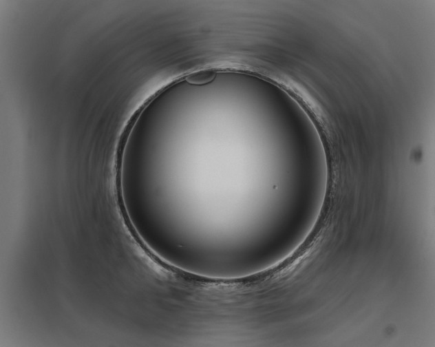 X0000098050902200803281452