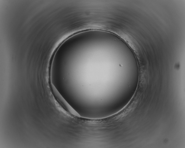 X0000098050904200803281452