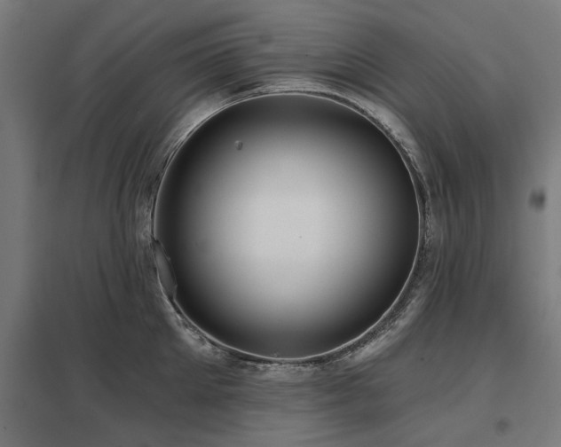 X0000098050905200803281452