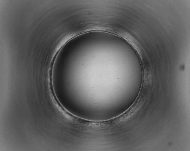 X0000098050906200803281452
