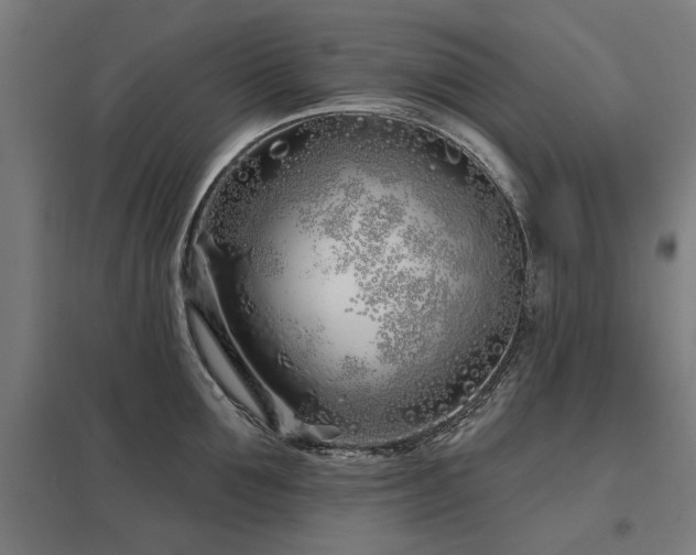 X0000098050907200803281452