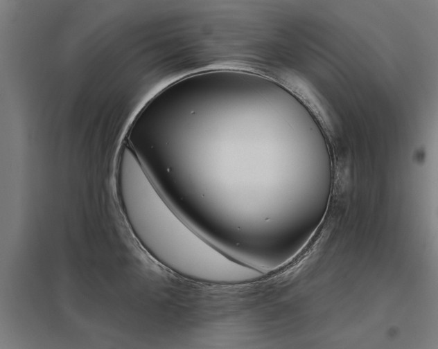 X0000098050908200803281452
