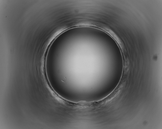 X0000098050909200803281452