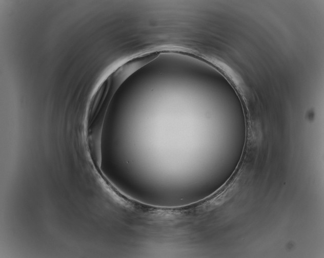 X0000098050910200803281452
