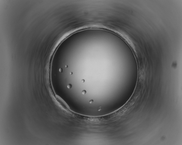 X0000098050911200803281452