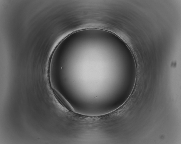 X0000098050912200803281452