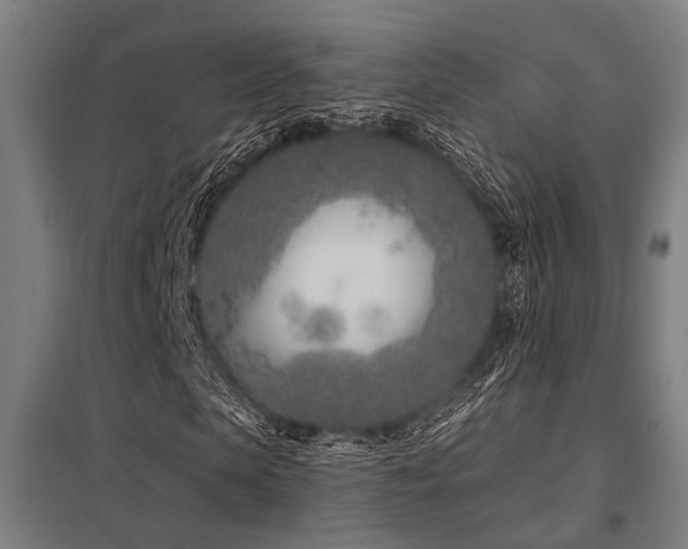 X0000098050913200803281451