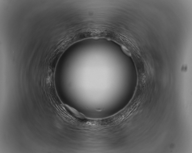 X0000098050914200803281451