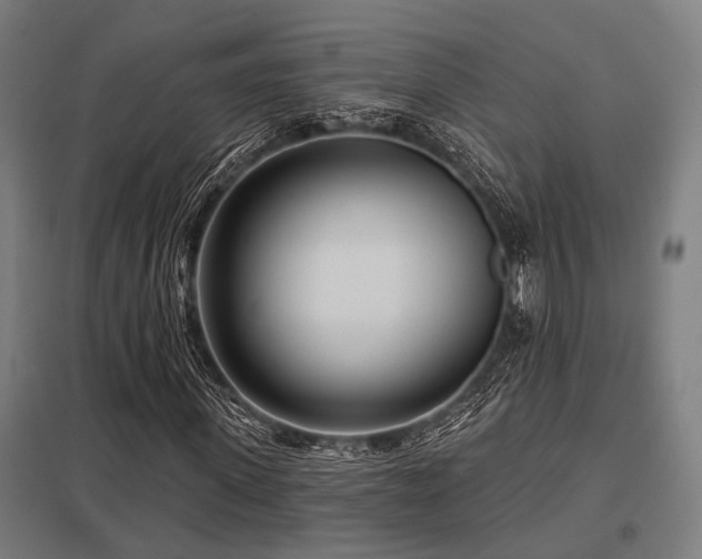 X0000098050915200803281451