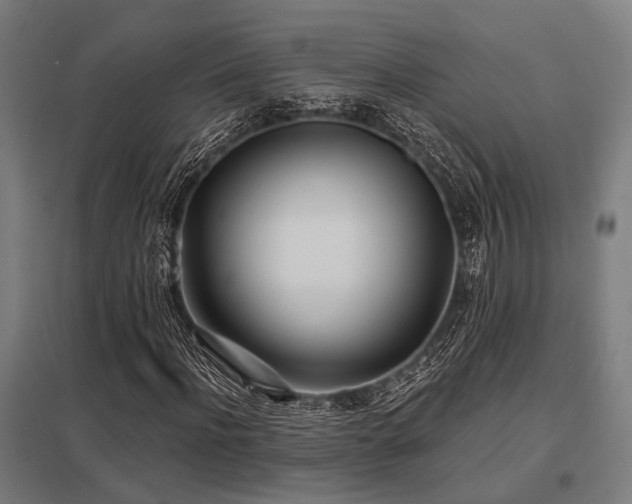 X0000098050916200803281451