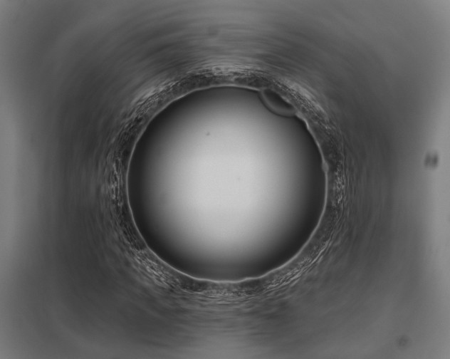 X0000098050917200803281451
