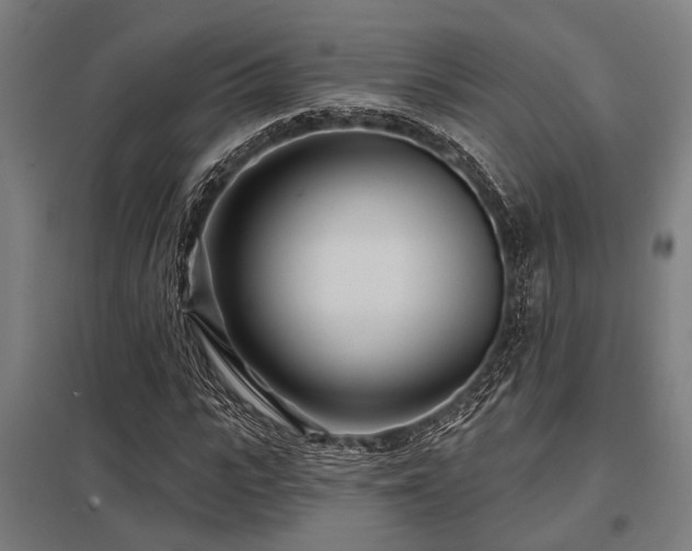 X0000098050919200803281451