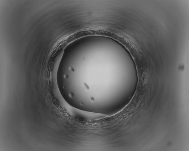 X0000098050920200803281451