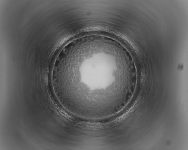 X0000098050921200803281451