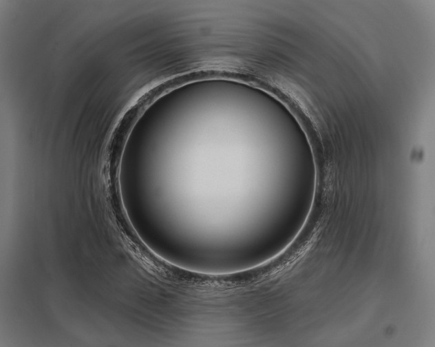 X0000098050923200803281451
