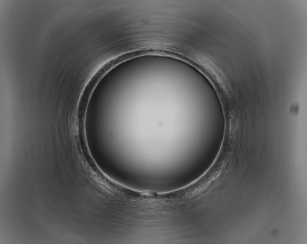 X0000098050924200803281451