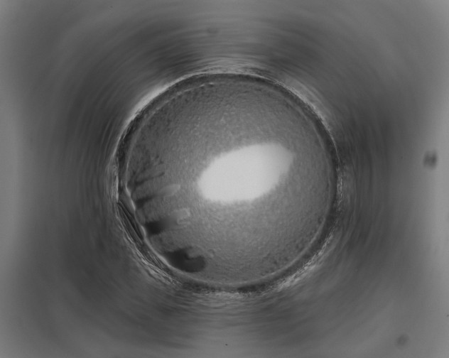 X0000098050925200803281451