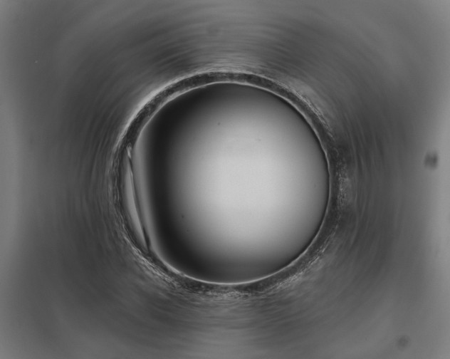 X0000098050926200803281451