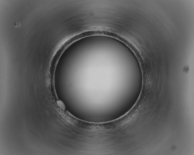 X0000098050927200803281451