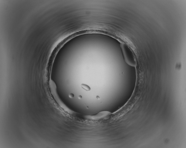 X0000098050928200803281452