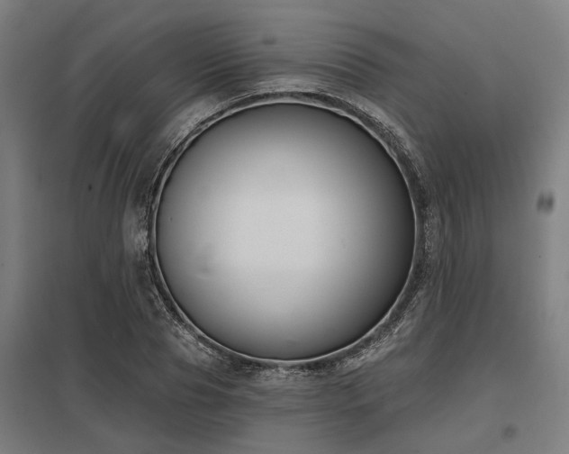 X0000098050929200803281452
