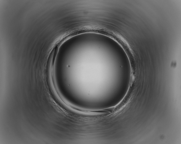 X0000098050930200803281452