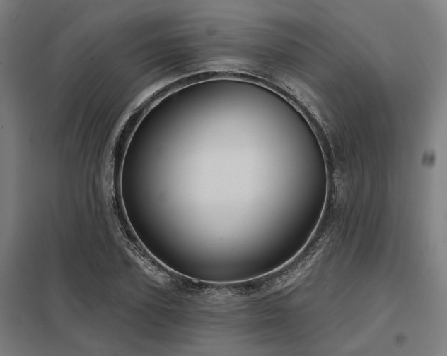 X0000098050931200803281452