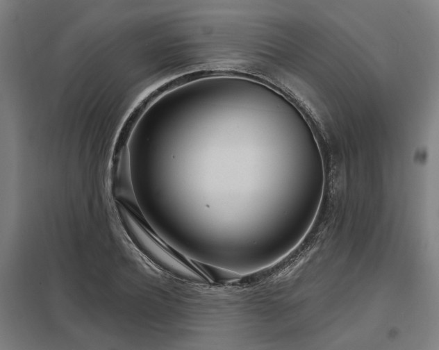 X0000098050932200803281452