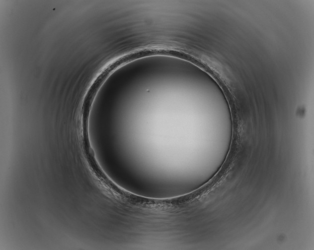 X0000098050934200803281452